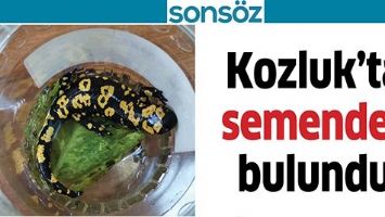 KOZLUK&rsquo;TA SEMENDER BULUNDU