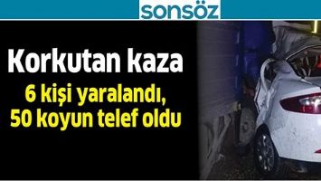 KORKUTAN KAZA