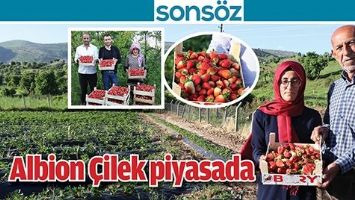 ALBİON &Ccedil;İLEK PİYASADA