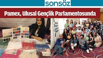 Pamex, Ulusal Gen&ccedil;lik Parlamentosunda
