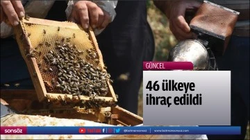 46 &uuml;lkeye ihra&ccedil; edildi