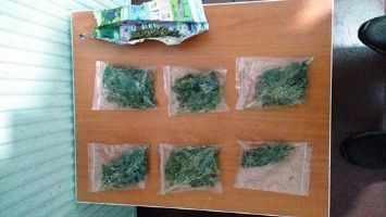 TORBACI SU&Ccedil;&Uuml;ST&Uuml;!