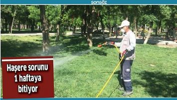 HAŞERE SORUNU 1 HAFTAYA BİTİYOR