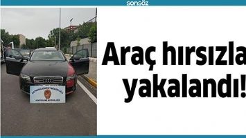 ARA&Ccedil; HIRSIZLARI YAKALANDI!