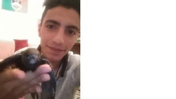 EBABİL KUŞUNA G&Ouml;Z&Uuml; GİBİ BAKIYOR