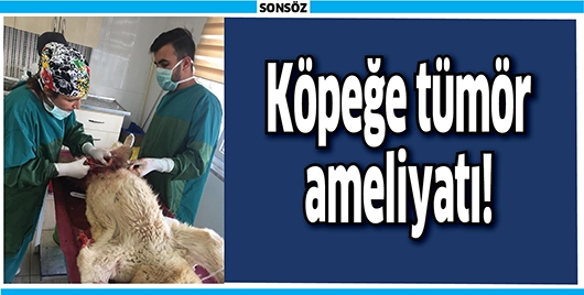 K&Ouml;PEĞE T&Uuml;M&Ouml;R AMELİYATI!