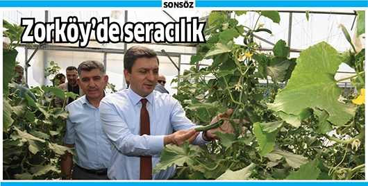 ZORK&Ouml;Y'DE SERACILIK
