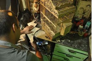 HOBİ OLARAK BAŞLADI, &Ouml;D&Uuml;L &Uuml;ST&Uuml;NE &Ouml;D&Uuml;L KAZANDI