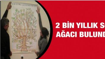 2 BİN YILLIK SOY AĞACI BULUNDU!