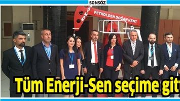 T&Uuml;M ENERJİ-SEN SE&Ccedil;İME GİTTİ