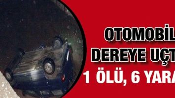 OTOMOBİL DEREYE U&Ccedil;TU: 1 &Ouml;L&Uuml;, 6 YARALI