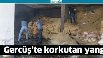 GERC&Uuml;Ş'TE KORKUTAN YANGIN