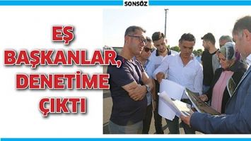 EŞ BAŞKANLAR, DENETİME &Ccedil;IKTI