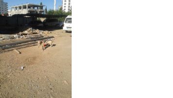 K&Ouml;PEKLERİN KISIRLAŞTIRILMASI İSTENİYOR