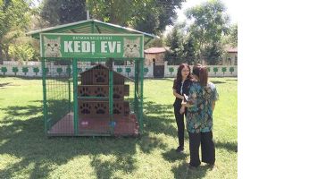 SOKAK KEDİLERİNE YUVA