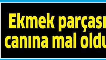EKMEK PAR&Ccedil;ASI, CANINA MAL OLDU!