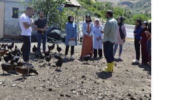 KOZLUK&rsquo;TA TAVUK&Ccedil;ULUK KURSU A&Ccedil;ILDI