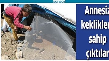 ANNESİZ KEKLİKLERE SAHİP &Ccedil;IKTILAR