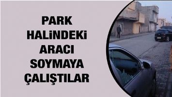 PARK HALİNDEKİ ARACI SOYMAYA &Ccedil;ALIŞTILAR