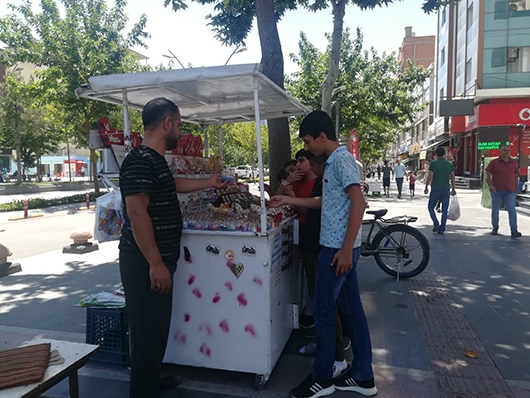 DENİZ KABUKLARI BU TEZG&Acirc;HTA
