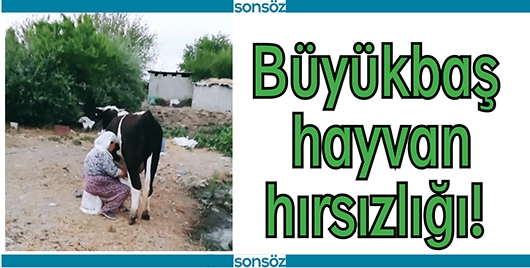 B&Uuml;Y&Uuml;KBAŞ HAYVAN HIRSIZLIĞI!