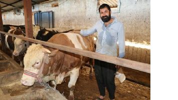 PAŞA, ALICISINI BEKLİYOR