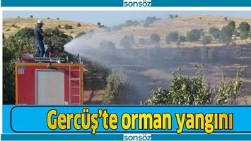 GERC&Uuml;Ş'TE ORMAN YANDI!