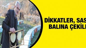 DİKKATLER, SASON BALINA &Ccedil;EKİLDİ