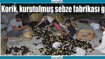KORİK, KURUTULMUŞ SEBZE FABRİKASI GİBİ&hellip;