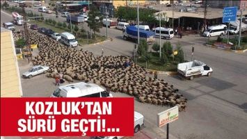 KOZLUK&rsquo;TAN S&Uuml;R&Uuml; GE&Ccedil;Tİ!...