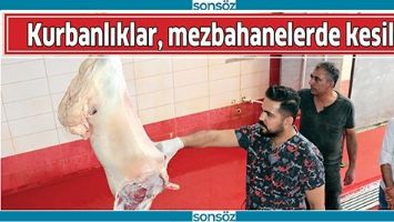 KURBANLIKLAR, MEZBAHANELERDE KESİLDİ