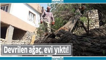 DEVRİLEN AĞA&Ccedil;, EVİ YIKTI!