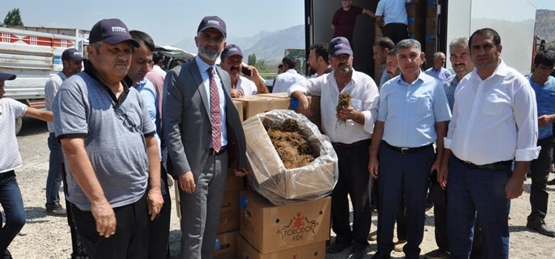 970 BİN &Ccedil;İLEK FİDANI DAĞITILDI