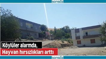 K&Ouml;YL&Uuml;LER ALARMDA, HAYVAN HIRSIZLIKLARI ARTTI