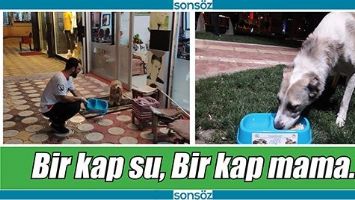 BİR KAP SU, BİR KAP MAMA