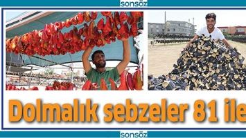 DOLMALIK SEBZELER 81 İLE