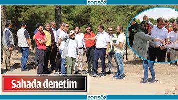 SAHADA DENETİM