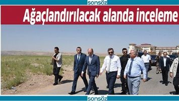 AĞA&Ccedil;LANDIRILACAK ALANDA İNCELEME