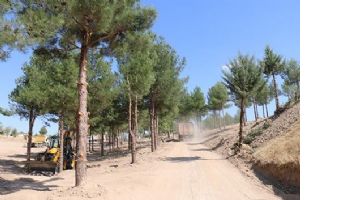PARK, YAŞAM ALANINA D&Ouml;N&Uuml;Ş&Uuml;YOR