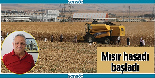 MISIR HASADI BAŞLADI