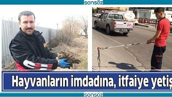 HAYVANLARIN İMDADINA, İTFAİYE YETİŞTİ