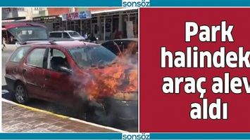 PARK HALİNDEKİ ARA&Ccedil; ALEV ALDI
