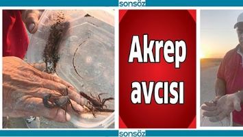 AKREP AVCISI
