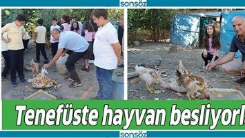 TENEF&Uuml;STE HAYVAN BESLİYORLAR