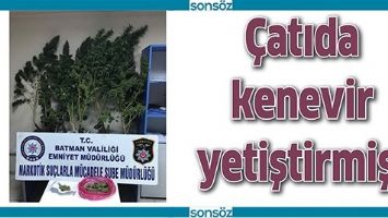 &Ccedil;ATIDA KENEVİR YETİŞTİRMİŞ!