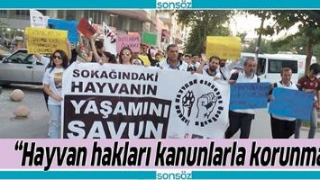 &ldquo;HAYVAN HAKLARI KANUNLARLA KORUNMALI&rdquo;