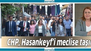 CHP, HASANKEYF&rsquo;İ MECLİSE TAŞIDI