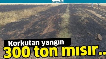 KORKUTAN YANGIN!