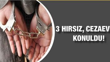 3 HIRSIZ, CEZAEVİNE KONULDU!
