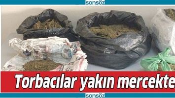TORBACILAR YAKIN MERCEKTE!